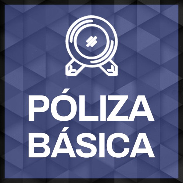 Póliza básica de soporte mensual