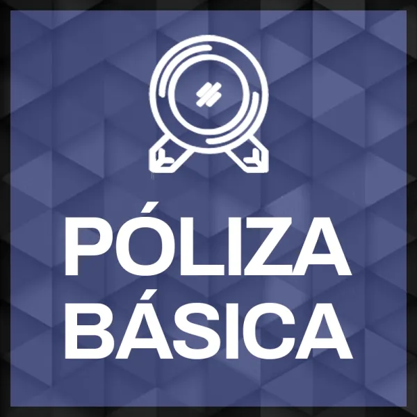 Póliza básica de soporte mensual