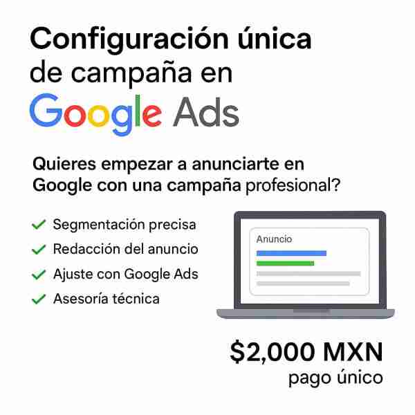 Configuración única de campaña en Google Ads (pago único)