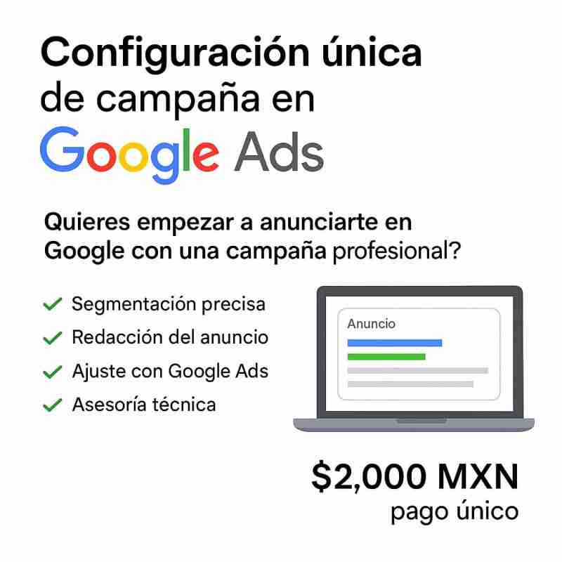 Configuración única de campaña en Google Ads (pago único)
